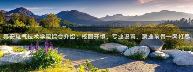 凯发国际真人