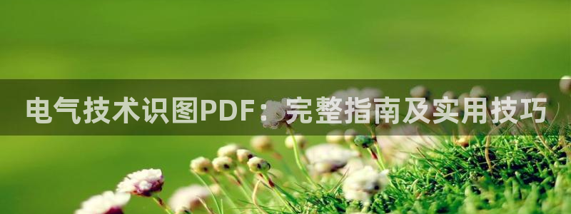 凯发k8官方网娱乐官方：电气技术识图PDF：完整指