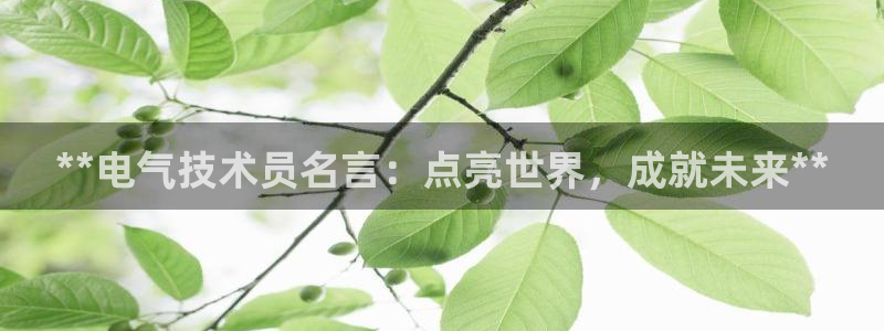 凯发旗舰网站