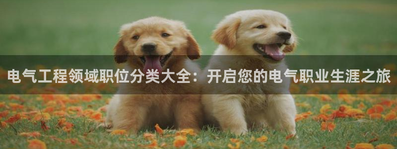 凯发k8娱乐欢迎您