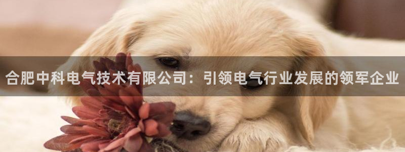 凯发k8娱乐官网手机端中心