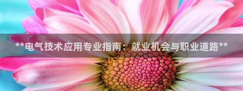 凯发K8登录入口：**电气技术应用专业指南：就业机