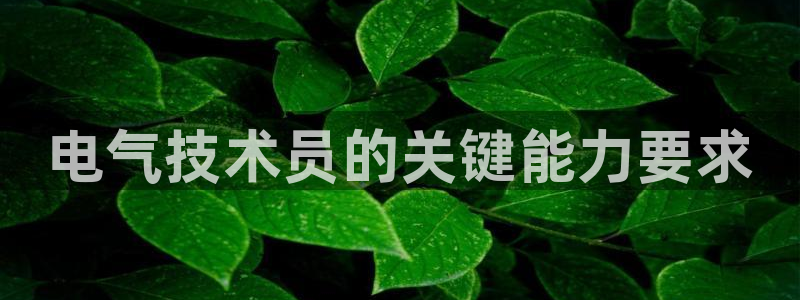 凯发国际平台登录：电气技术员的关键能力要求