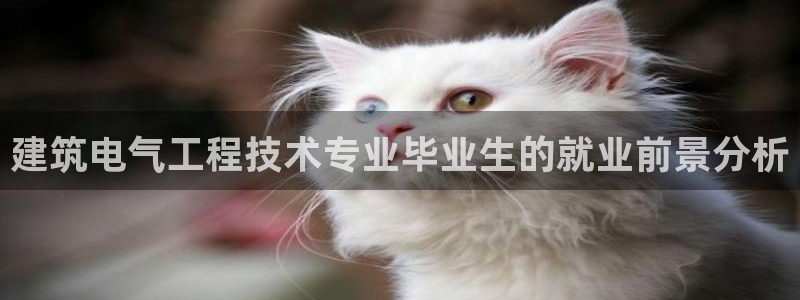 凯发国际网站