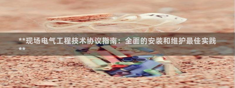 凯发网娱乐官网国际：**现场电气工程技术协议指南：