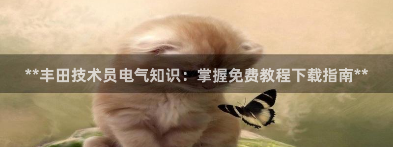 凯发官方手机app：**丰田技术员电气知识：掌握免