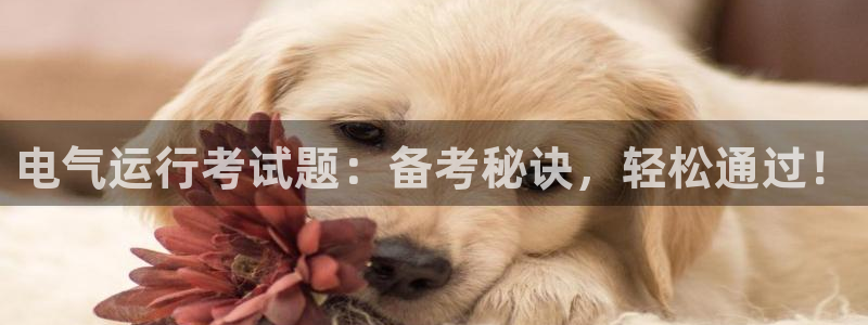 凯发国际怎么赚钱：电气运行考试题：备考秘诀，轻松通