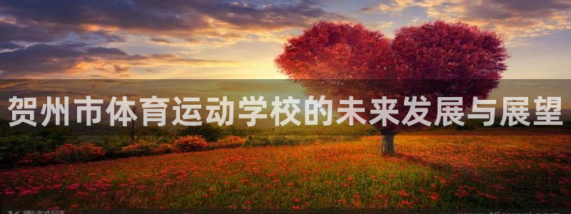 米兰体育入口：贺州市体育运动学校的未来发展与展望